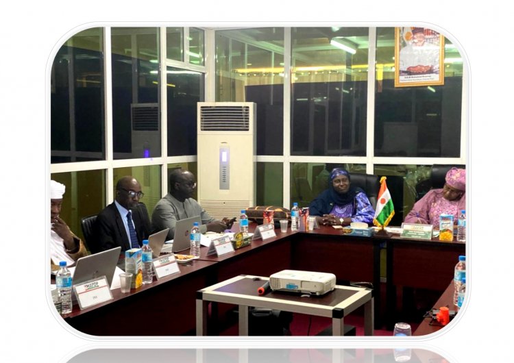 Une réunion d’échanges sur la protection des données à caractère personnel dans le cadre la réforme de la loi portant régime des statistiques au Niger.